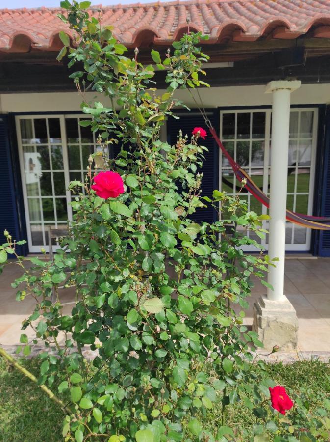 Ostello Fazenda Do Marante Tomar Esterno foto